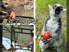-秦皇岛野生动物园