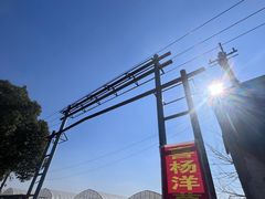 -喜杨洋草莓采摘园