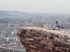 -红光山