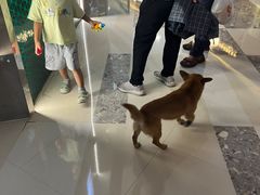 -万达广场(松江店)