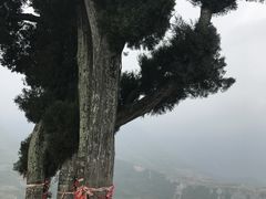 -萝卜寨羌文化生态旅游区