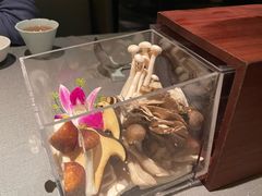 -左庭右院鲜牛肉火锅黑金店(陆家嘴中心店)