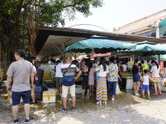 -大湾区中央湿地公园-十九涌