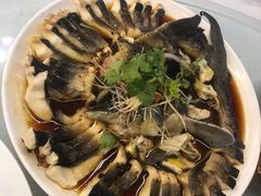 -京北渔家傲
