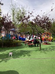 -萌宠亲子动物乐园(槐房万达店)