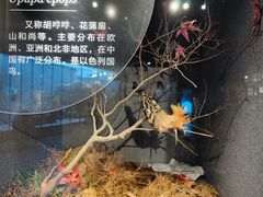 -武汉园博园(武汉自然博物馆)