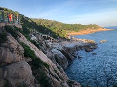 -广东惠东海龟国家级自然保护区