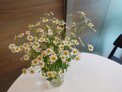 -茶缸AMOKKA COFFEE