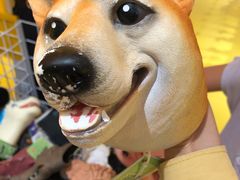 -KKV(深圳宏发大仟里店)