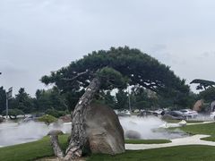 -罗红摄影艺术馆