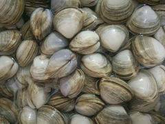 -三乐海鲜水饺馆