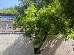 -千佛山风景名胜区