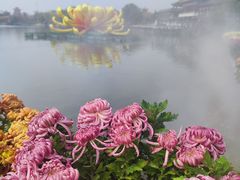 -中国翰园碑林