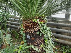 -国家植物园南园