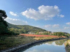 -上海佘山国家森林公园天马山园