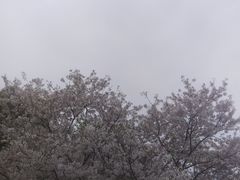-凤凰沟景区
