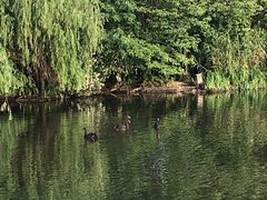 -南通濠河风景名胜区