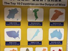 -青岛葡萄酒博物馆