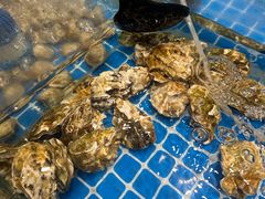 -海柜涮烤一体自助餐厅(金鹰店)