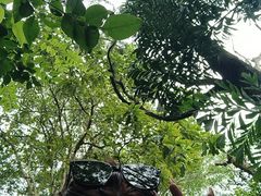-潮州西湖