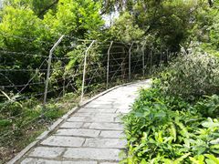-炮台山公园