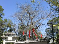-广州市白云山风景名胜区