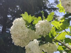 -济南植物园