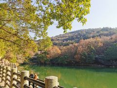 -白马涧龙池景区