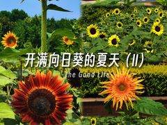 -郑州植物园