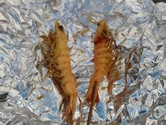 -馨越楼·点心·粤菜(赤坎店)