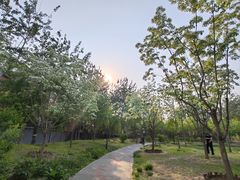-莲花池公园