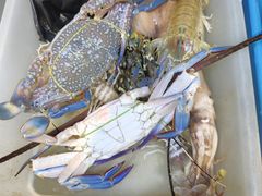 -班赞海鲜市场