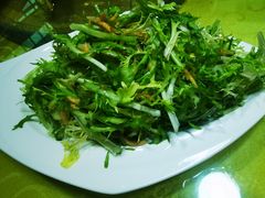 苦菊拌撒子-春水锅贴·传统鲁菜(大明湖店)