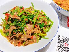 香菜炒牛肉-壹盏灯(蚂蚁工房店)