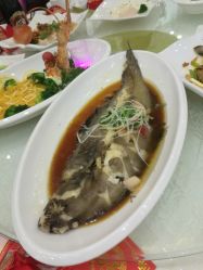 -谛融婚礼酒店·宴会厅(花园店)