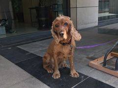 -招商银行(北京朝外大街支行)