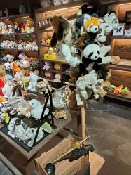 -Zoolung Zoolung动物主题公园(海信广场店)