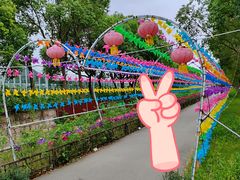 -上海杨姆庄园