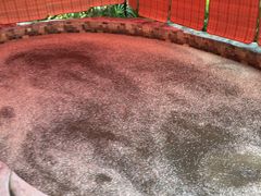 -盛泰恐龙谷温泉