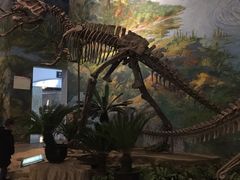 -自贡恐龙博物馆