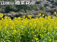 -济州山房山碳酸温泉