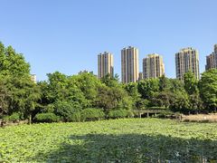 -龙头寺公园