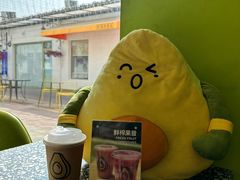-油梨树AVOCADO TREE(顺义新国展店)