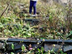 -白草畔自然风景区