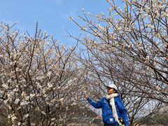 -广州市流溪河国家森林公园
