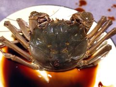 -70后饭吧(府河街店)
