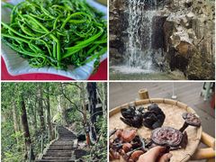 -阿清嫂农家乐.黎窑烤鸡