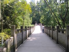 -重庆彩云湖湿地公园