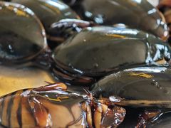 -潮记饭店(钟四商业街店)