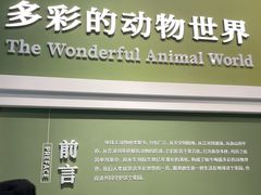 -国家自然博物馆